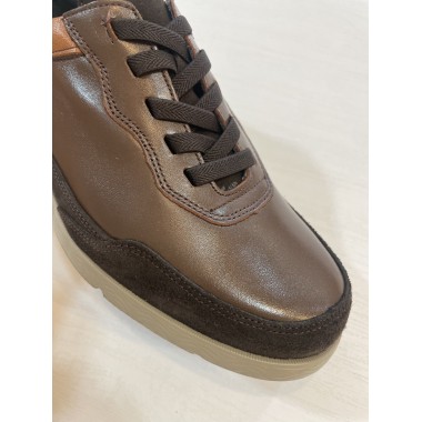 BLUCHER CLAYAN PIEL MARRON